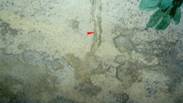 DSC03856