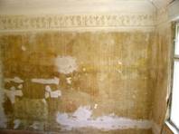 DSC07927.JPG
