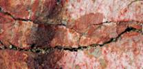 DSC02886-zerr.jpg