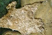 DSC02354-werg.jpg