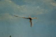 DSC04700.JPG