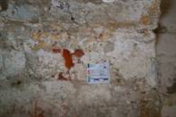 DSC02404.JPG